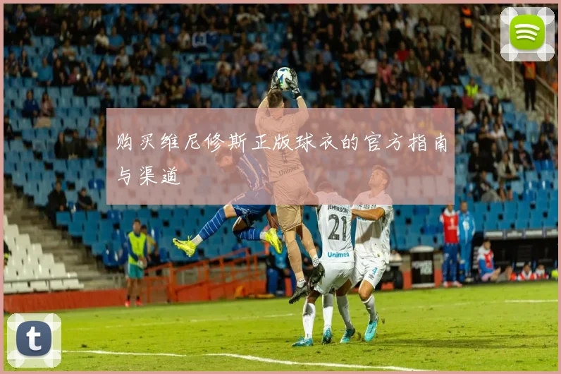 购买维尼修斯正版球衣的官方指南与渠道