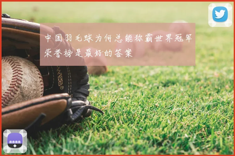 中国羽毛球为何总能称霸世界冠军荣誉榜是最好的答案